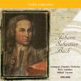 Bach: Violin concertos