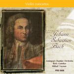 Violin Concerto in A Minor, BWV 1041: II. Andante