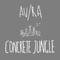 Concrete Jungle (Acoustic)专辑