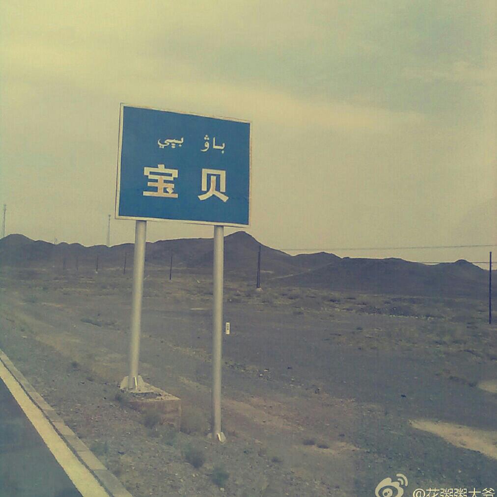 喜欢民谣的狗’