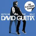  Nothing But The Beat - The Electronic Album