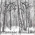 Tristesse Hivernale