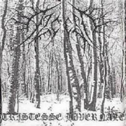 Tristesse Hivernale