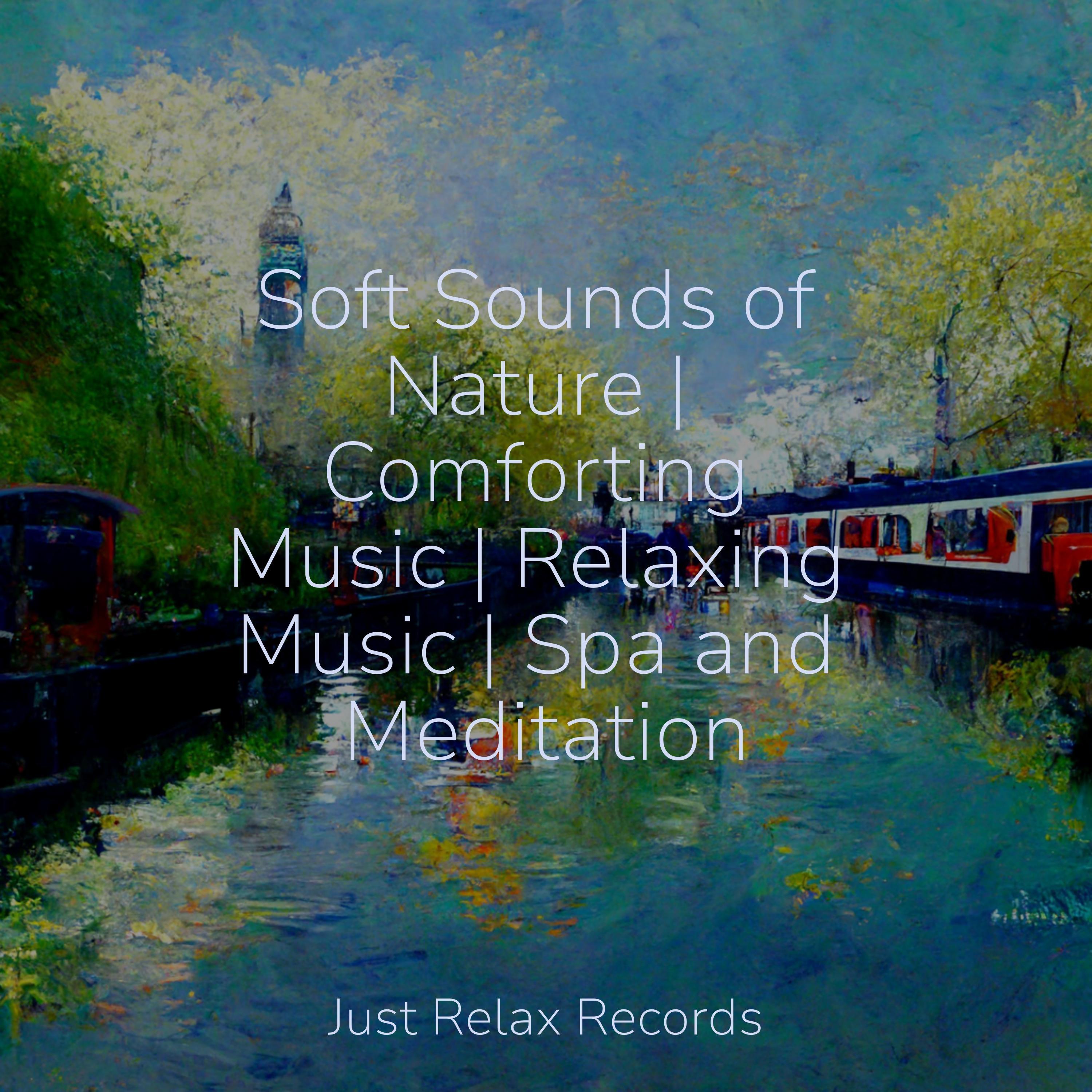 Enchanted Melodies of the Forest - Guided Meditation/Nature Sounds ...