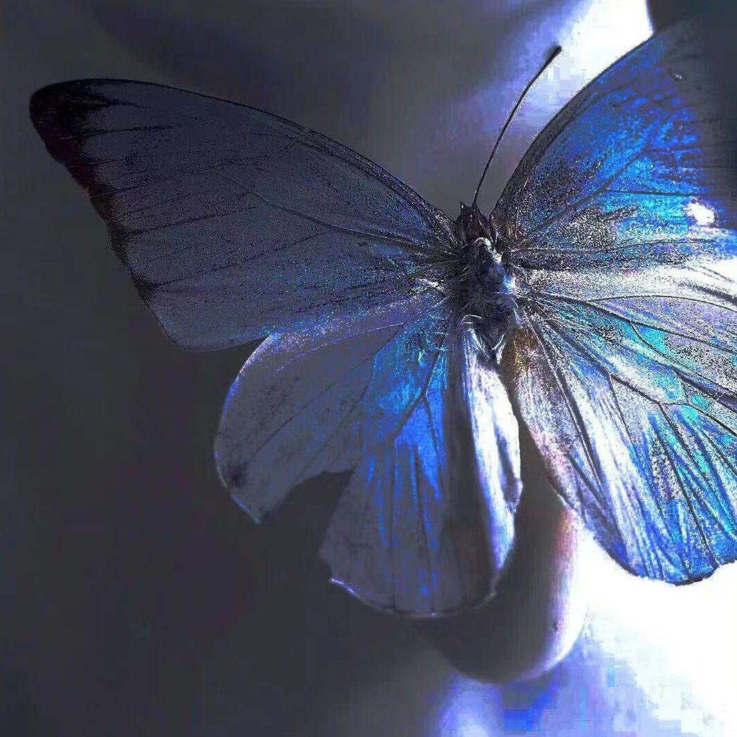 Memento