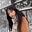 纪念章_lili