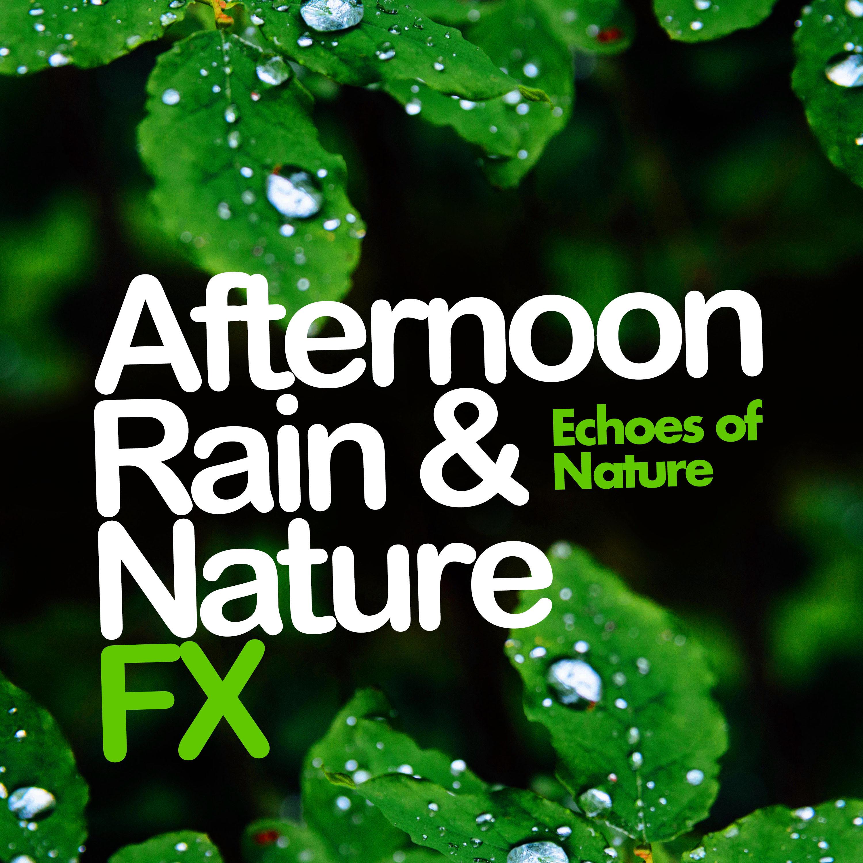 Afternoon Rain & Nature FX