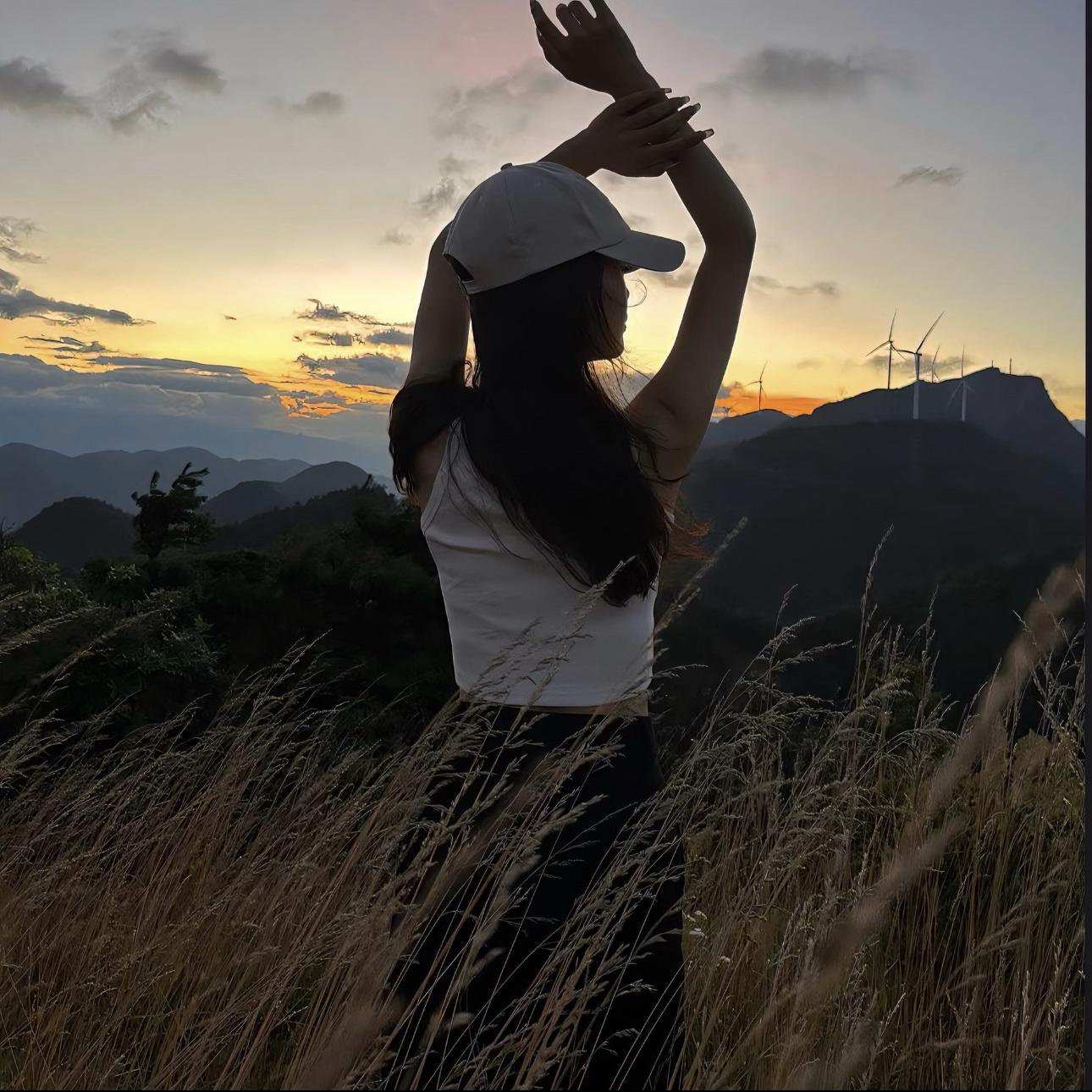 王富贵-Whistle Payphone（王富贵 remix）