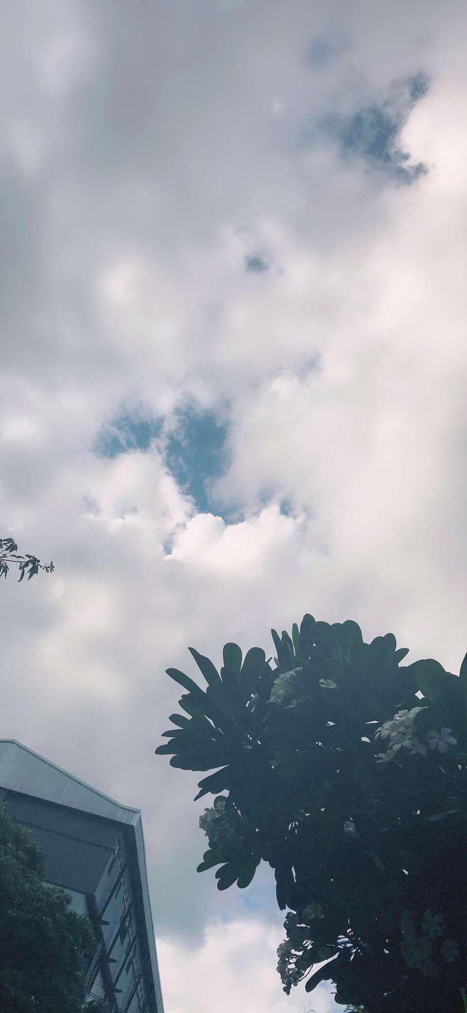 幻听