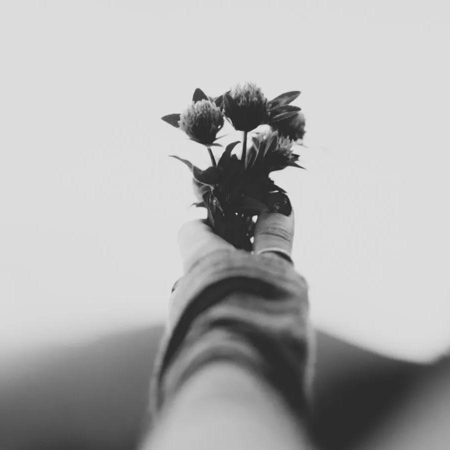毒药歌曲封面