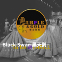 Black Swan 黑天鹅专辑