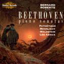 Beethoven: Piano Sonatas专辑