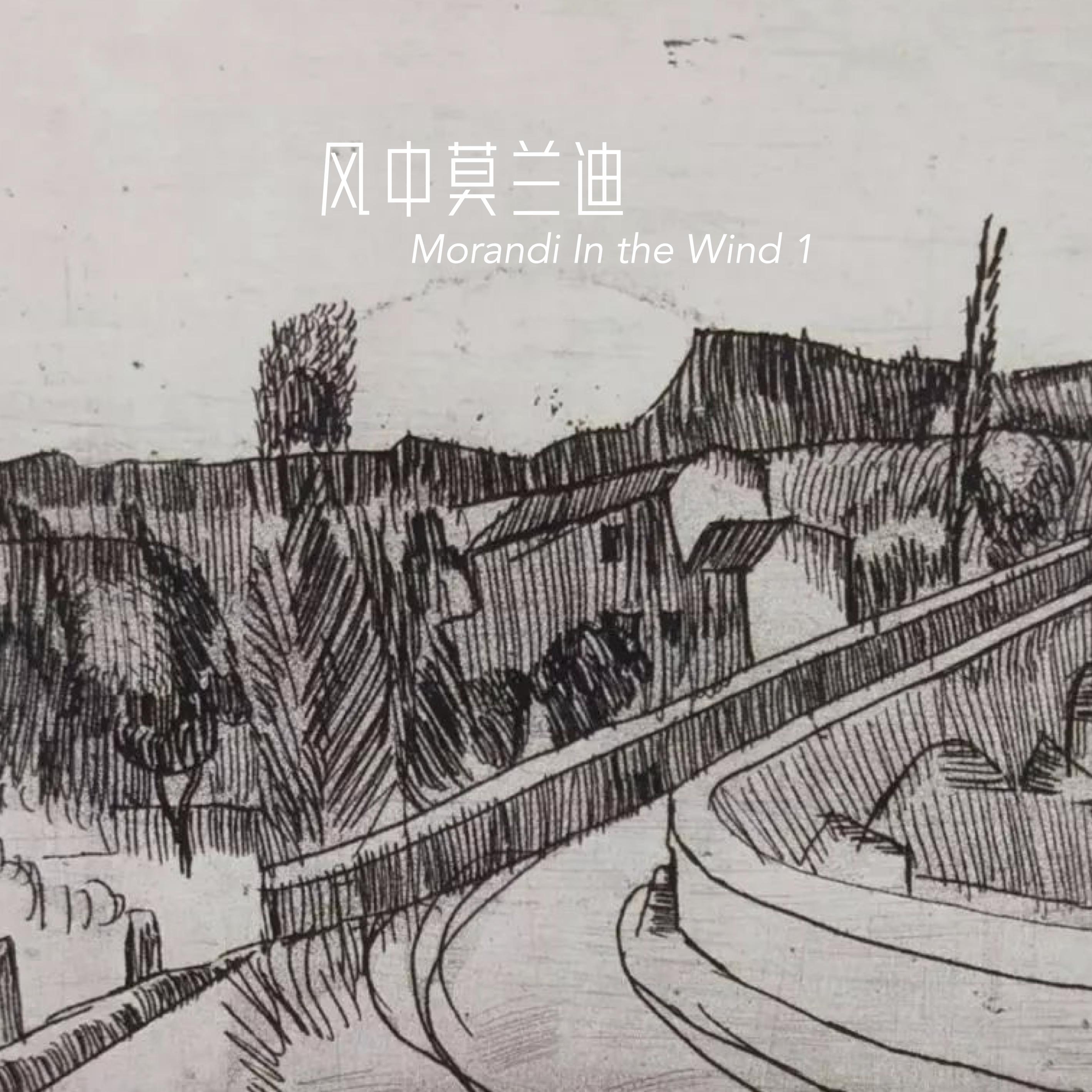 风中莫兰迪1