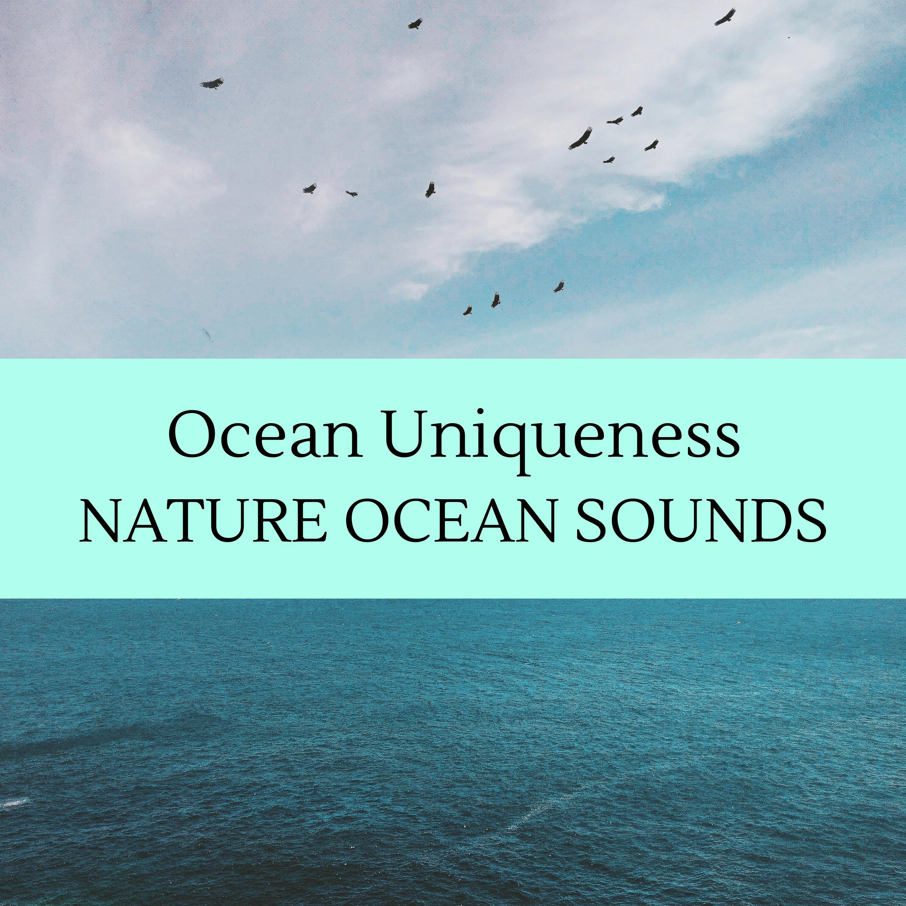 Gleaming Ocean Nature Music - Sentimental Crickets Noise