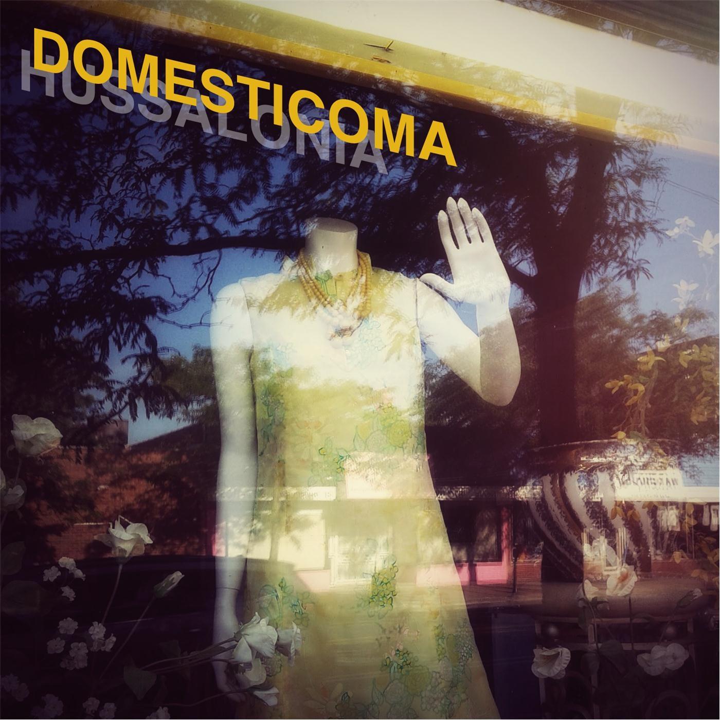 Domesticoma