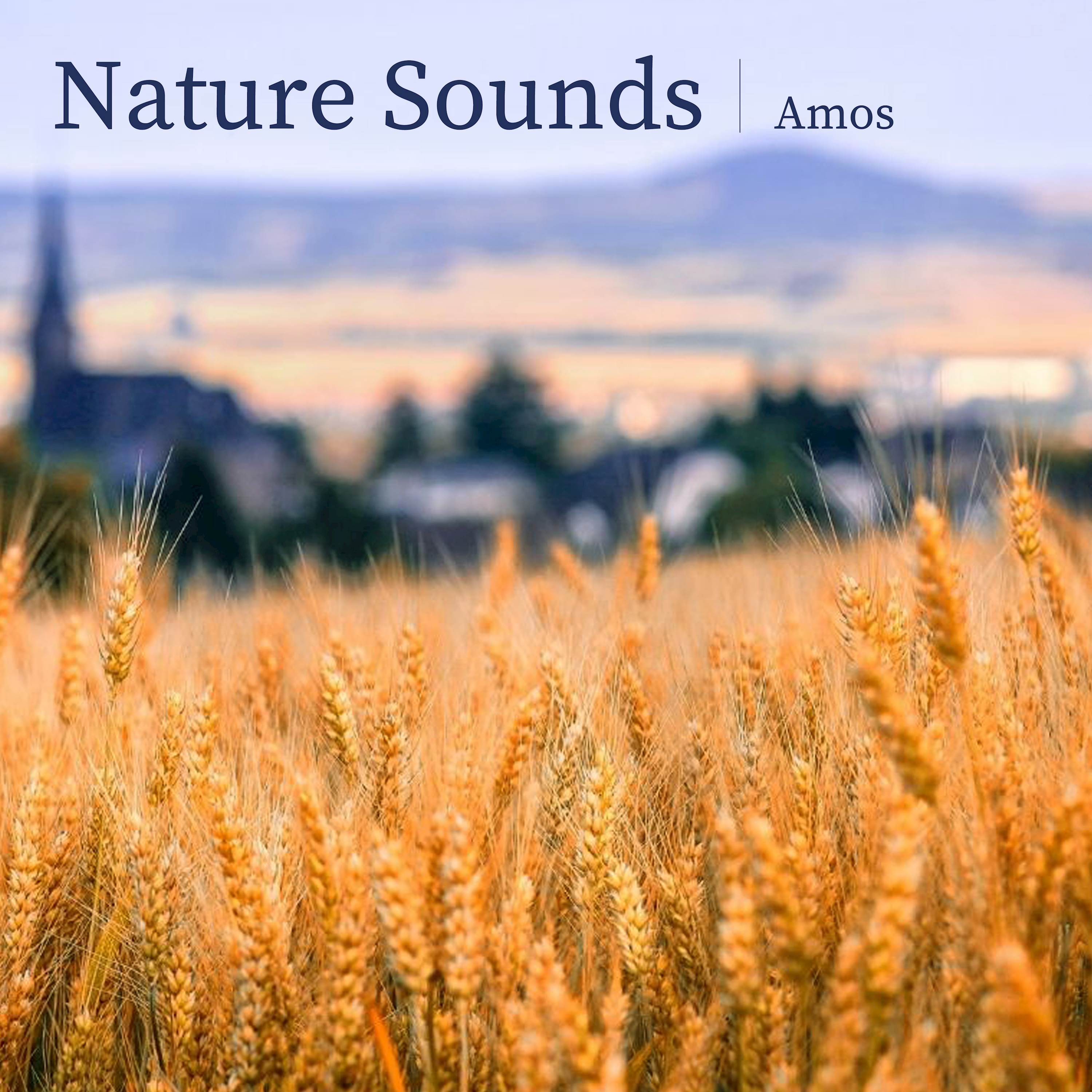 Nature Sounds