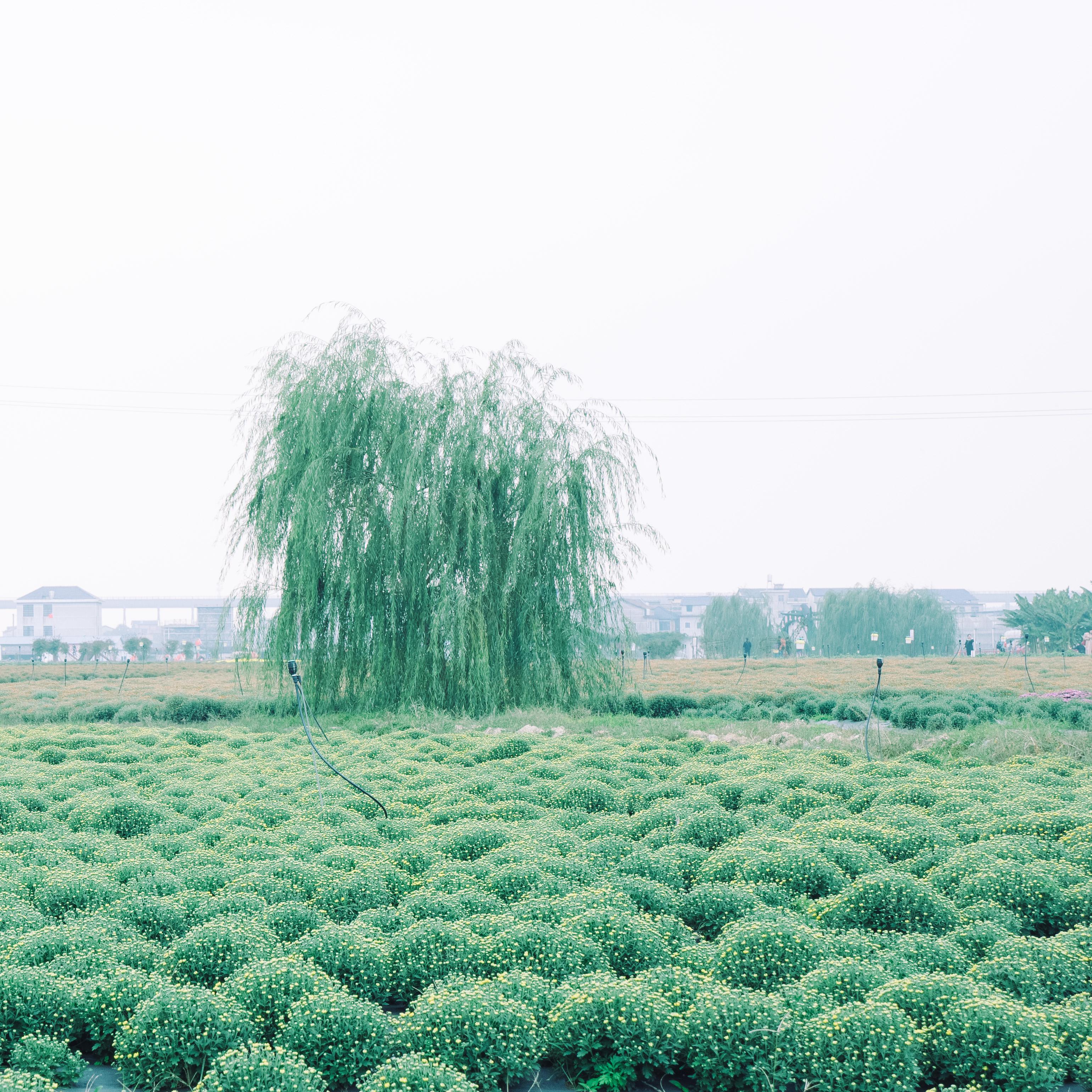 欢快潮流背景纯音乐