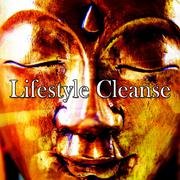 Lifestyle Cleanse