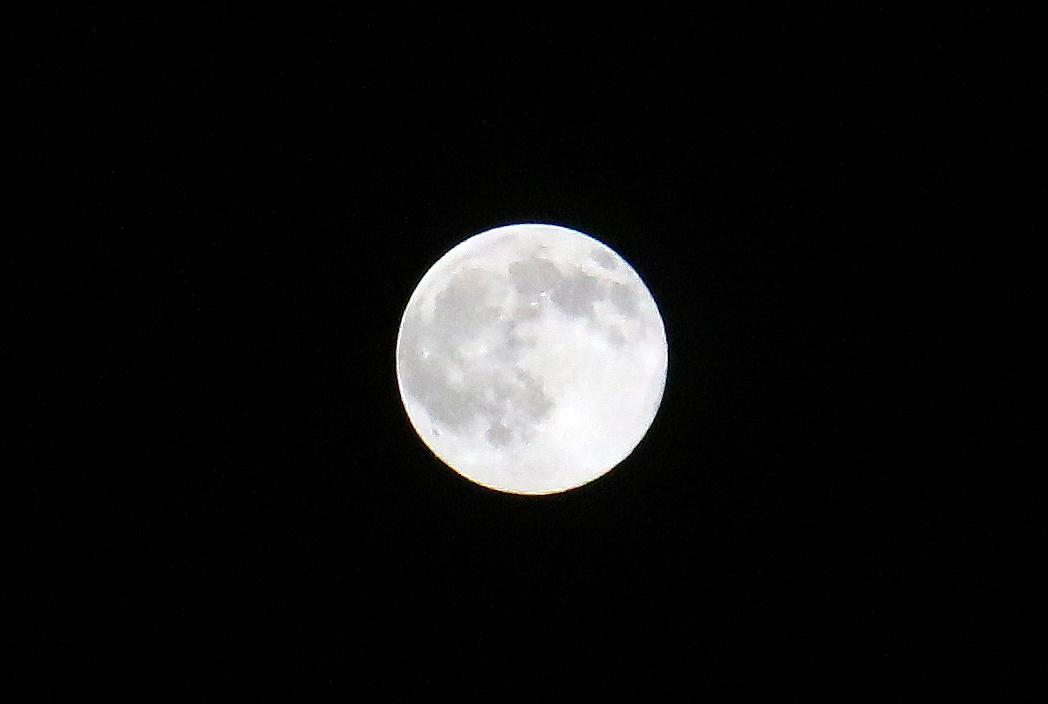 陪你七个夜晚