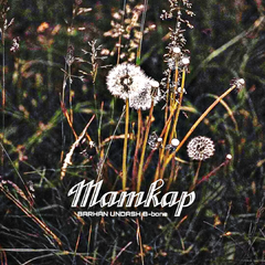 Mamkap