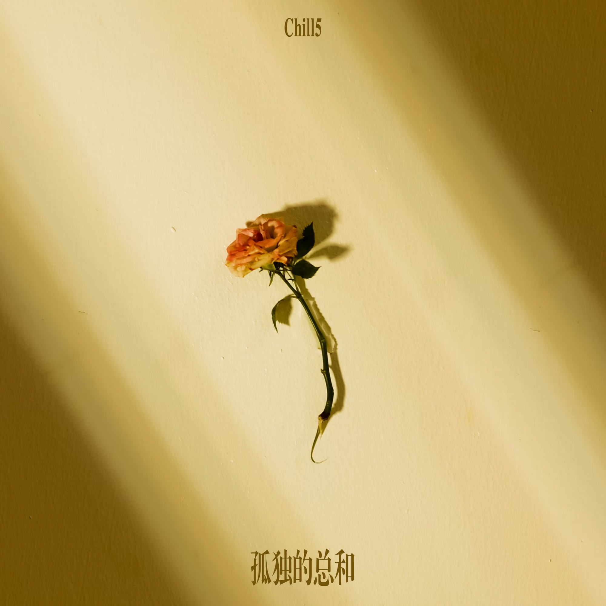 孤独的总和