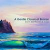 Water Music Suite / Water Music Suite in D Major, BWV 349:Bourée