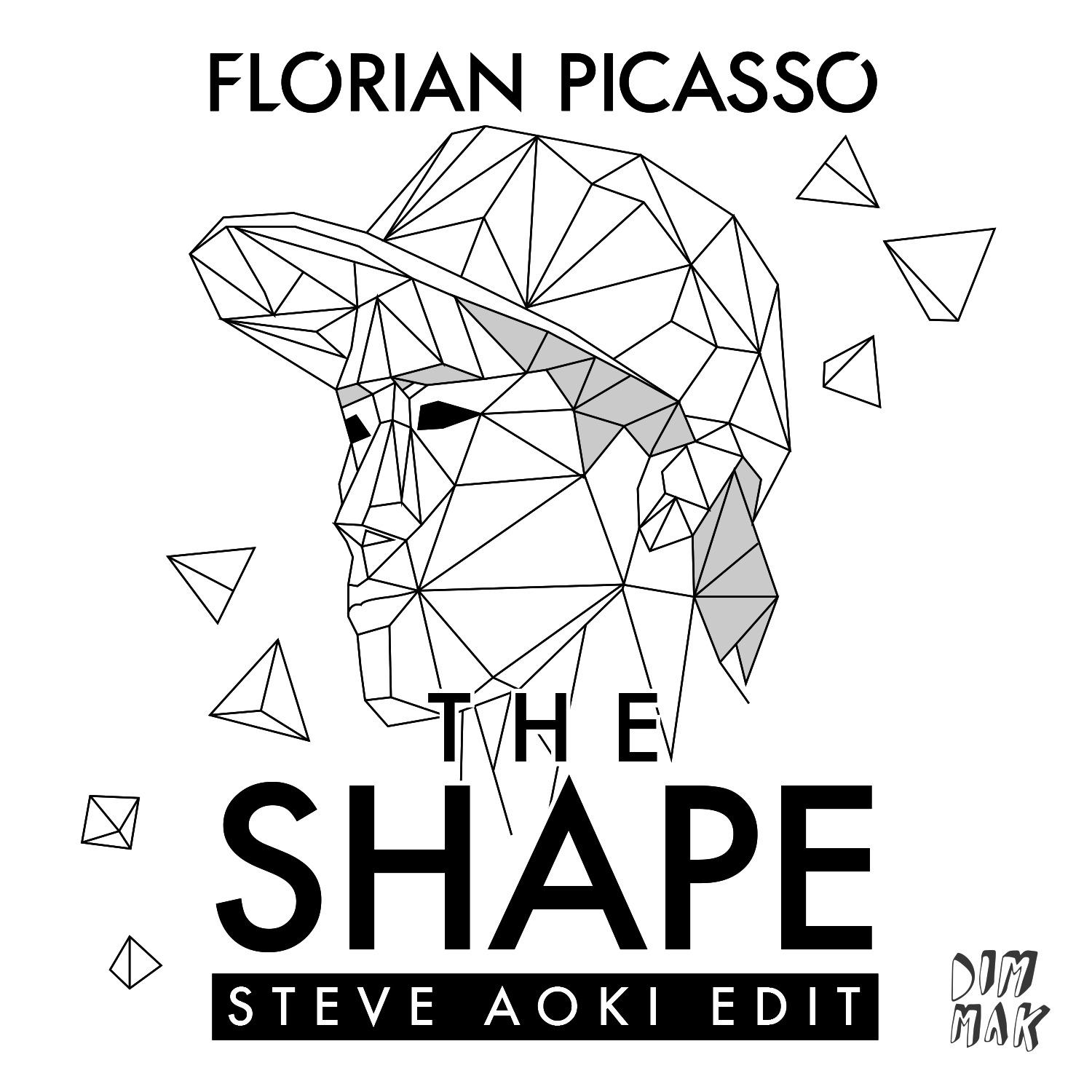 The Shape (Steve Aoki Edit)