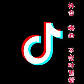 抖音 网红 嗨曲 大全
