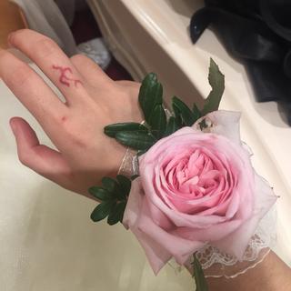 所有一切，皆不如你。