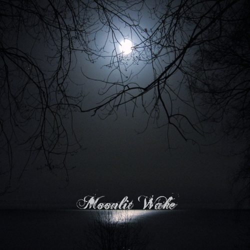 Moonlit Wake Demo