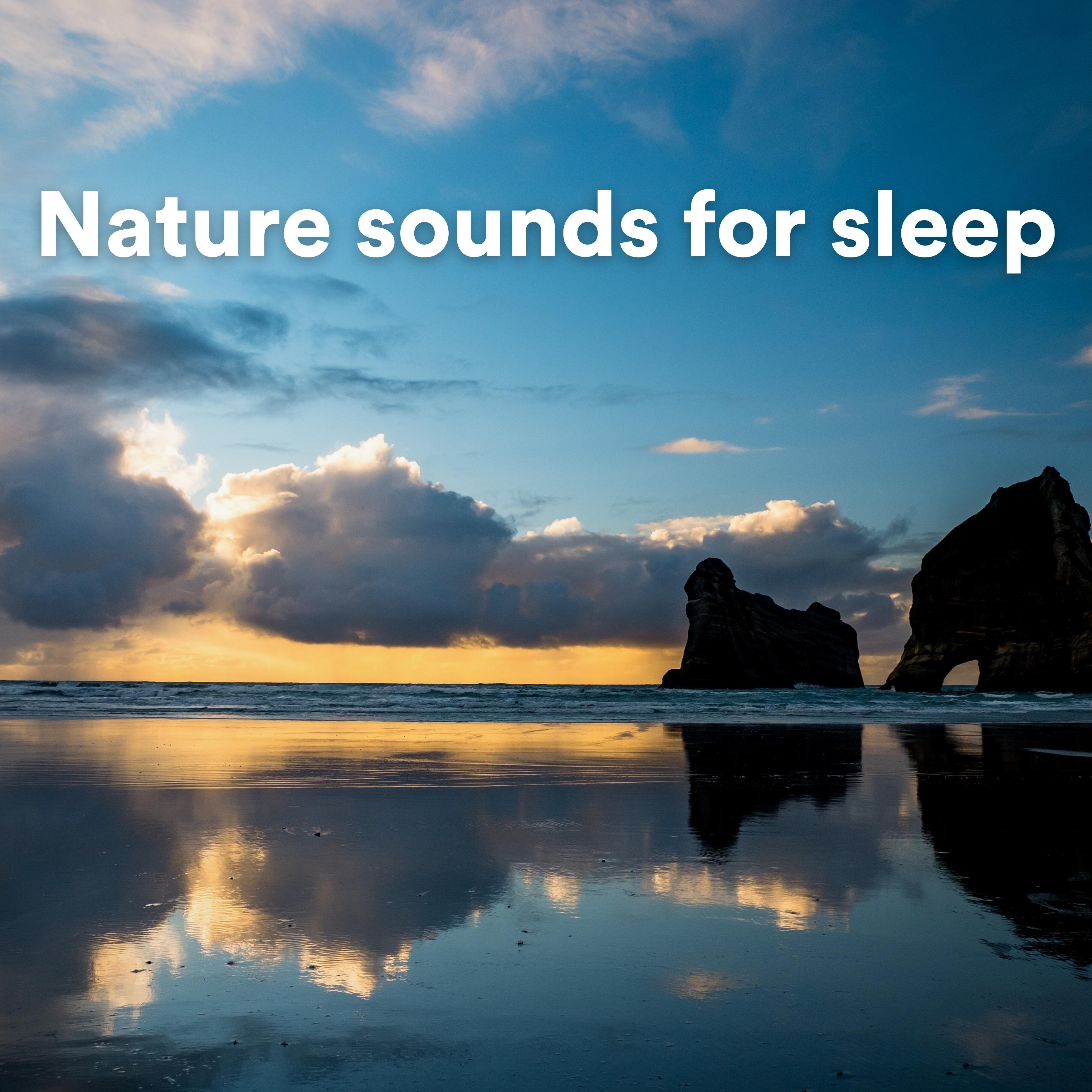Nature Sound Series - Nature sounds for sleep, Pt. 15