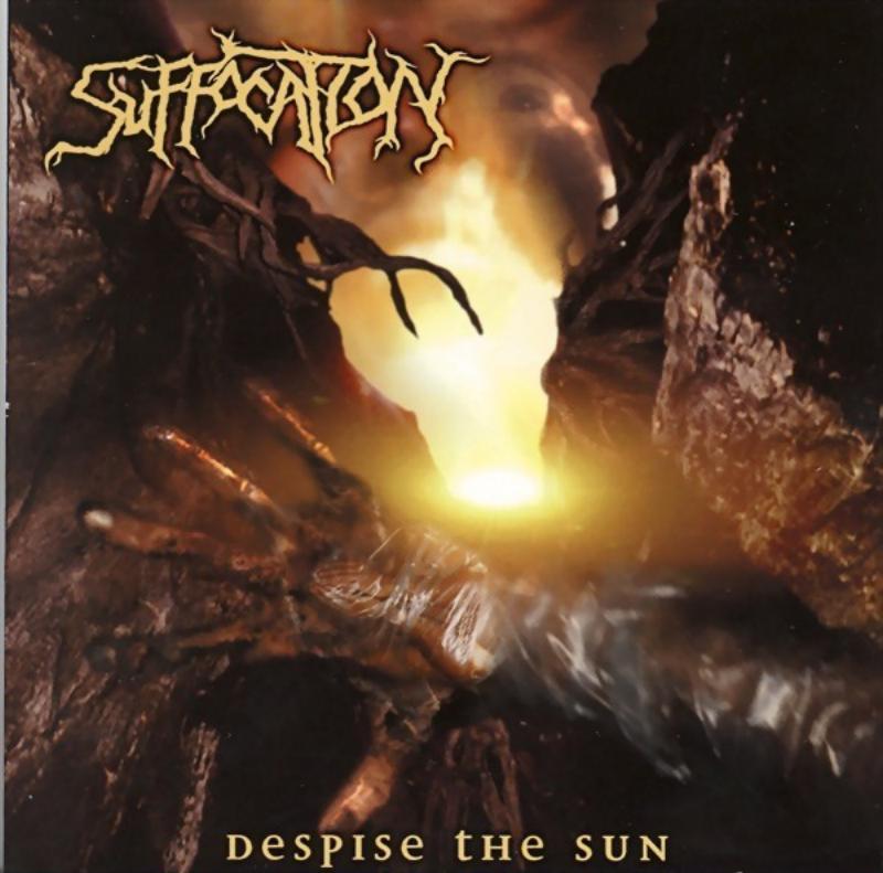 Despise The Sun