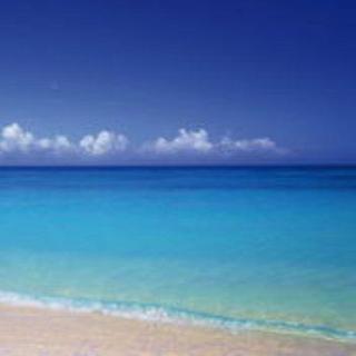 《抖腿向》电卍音《节奏控》更新中