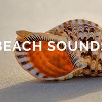 Beach Sounds资料,Beach Sounds最新歌曲,Beach SoundsMV视频,Beach Sounds音乐专辑,Beach Sounds好听的歌