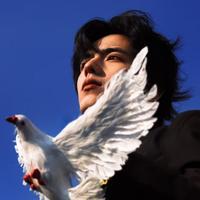 野心家ENTJ｜理性主义者 自律至上不断变强