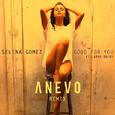 GFY (Anevo remix)