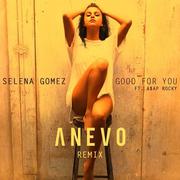 GFY (Anevo remix)
