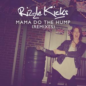 Rizzle Kicks - Mama Do The Hump （降3半音）