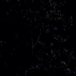 Sati空间 睡眠模式