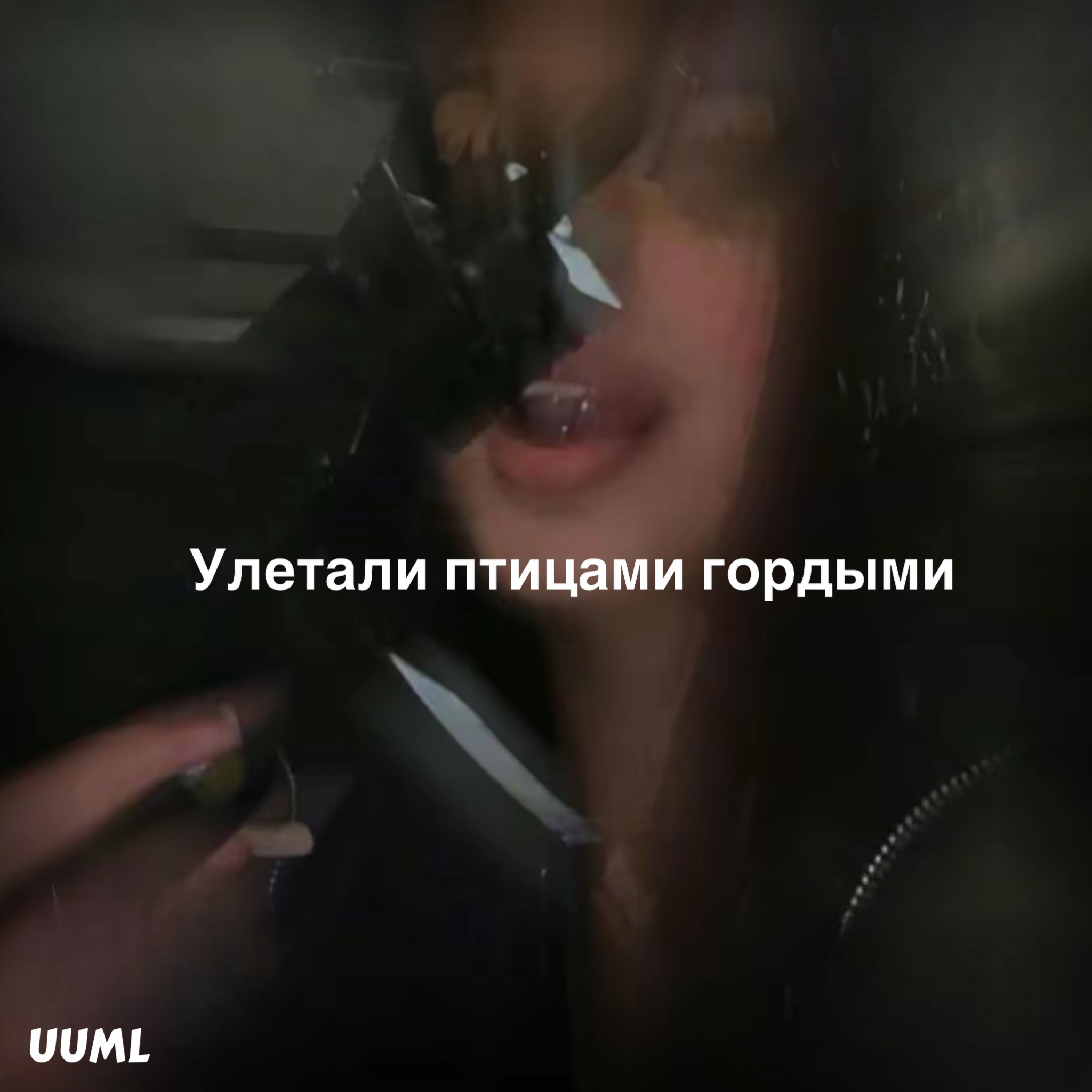 Улетали птицами гордыми