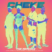 Cheke (DJ Moiz Remix)