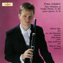 Schubert: Flute Variations, D. 802 & Guitar Quintet, D. 96专辑
