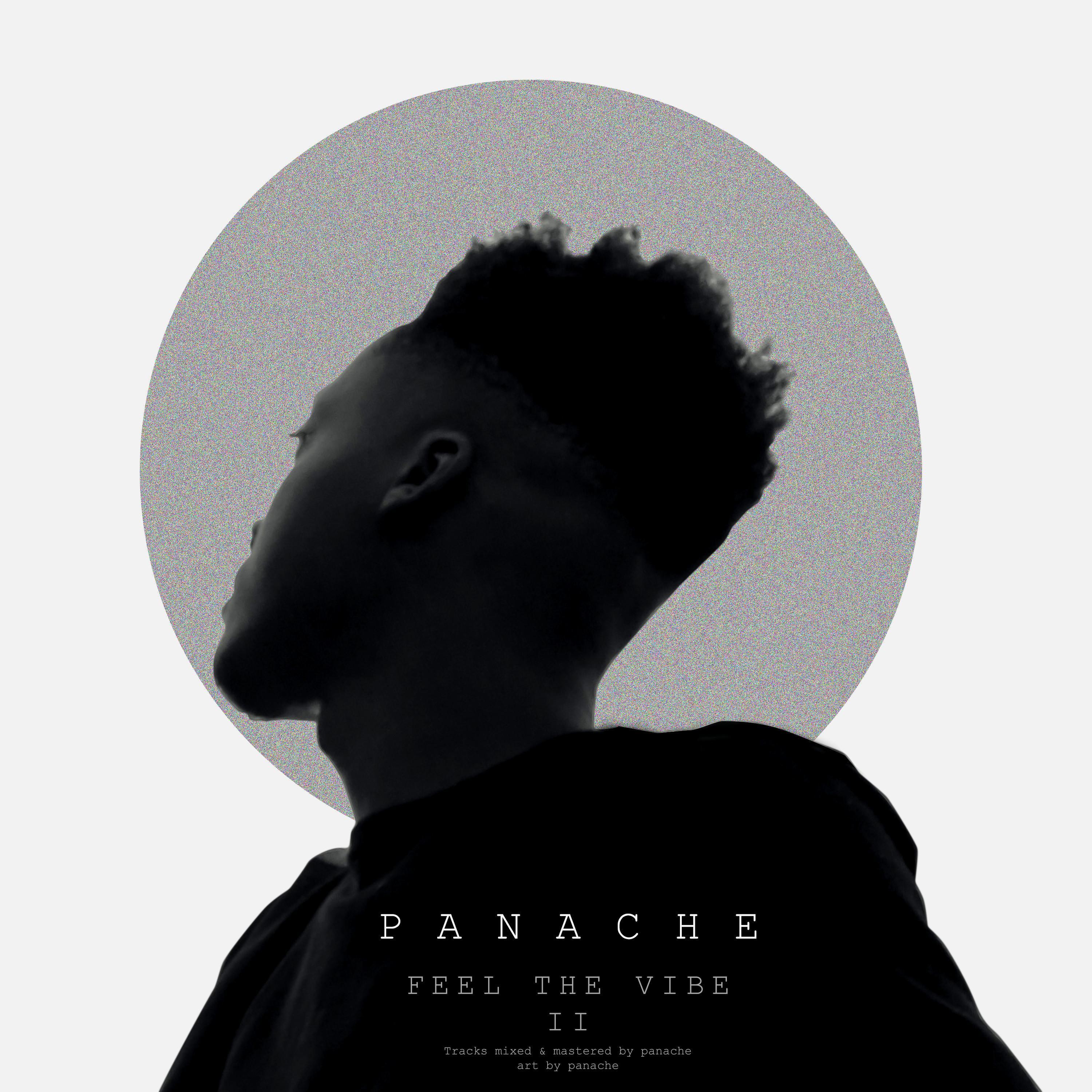 Feel the Vibe 2