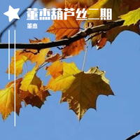 梦里水乡*葫芦丝D (伴奏)