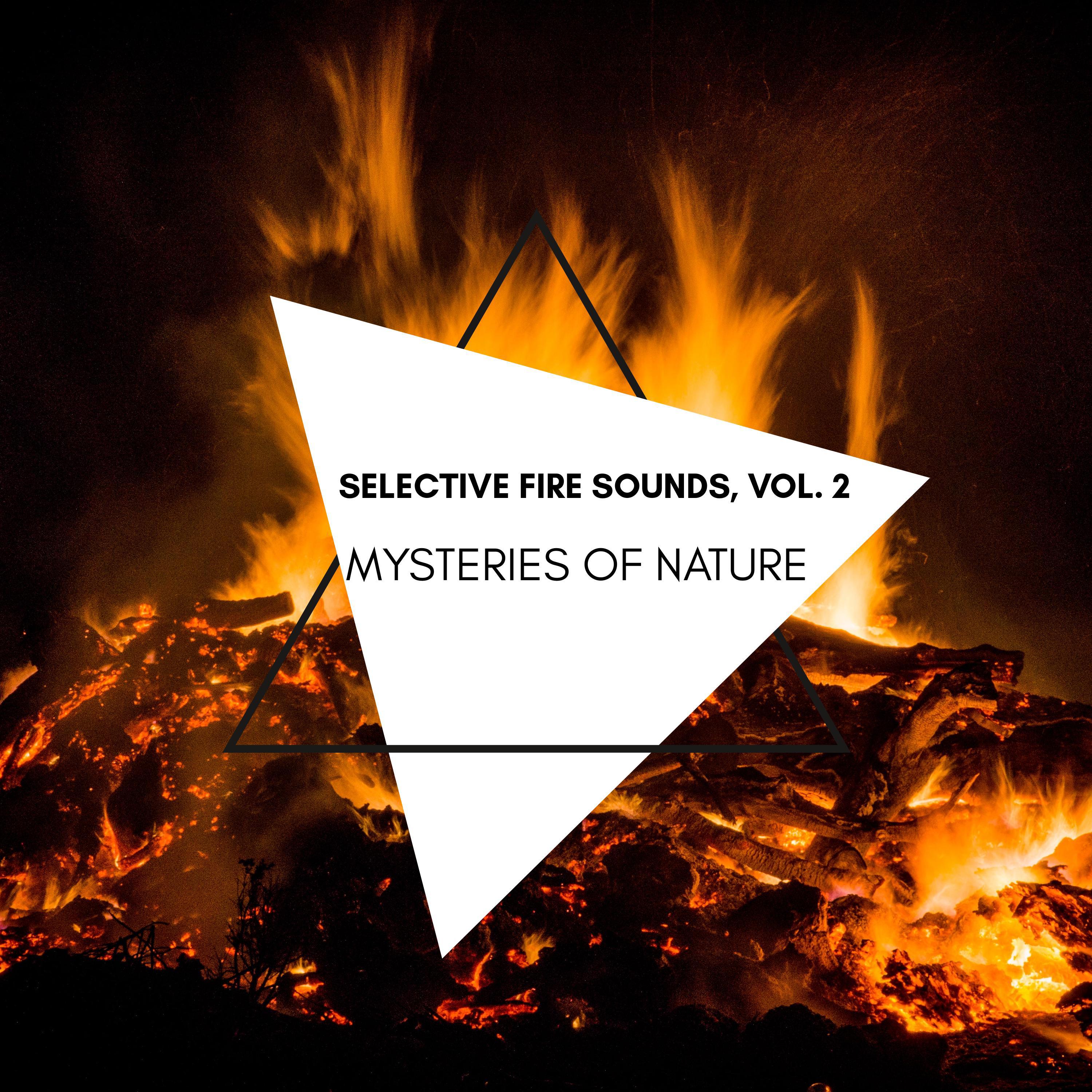 Fire Specter Nature Music - Forest Fire Merge