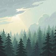 森林的雨