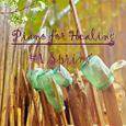 마음의 치유를 위한 피아노 ‘Piano for Healing’ Spring(봄)