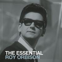 Walk On (With the Royal Philharmonic Orchestra) - Roy Orbison (Karaoke Version) 带和声伴奏