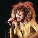 Tina Turner Love Songs专辑