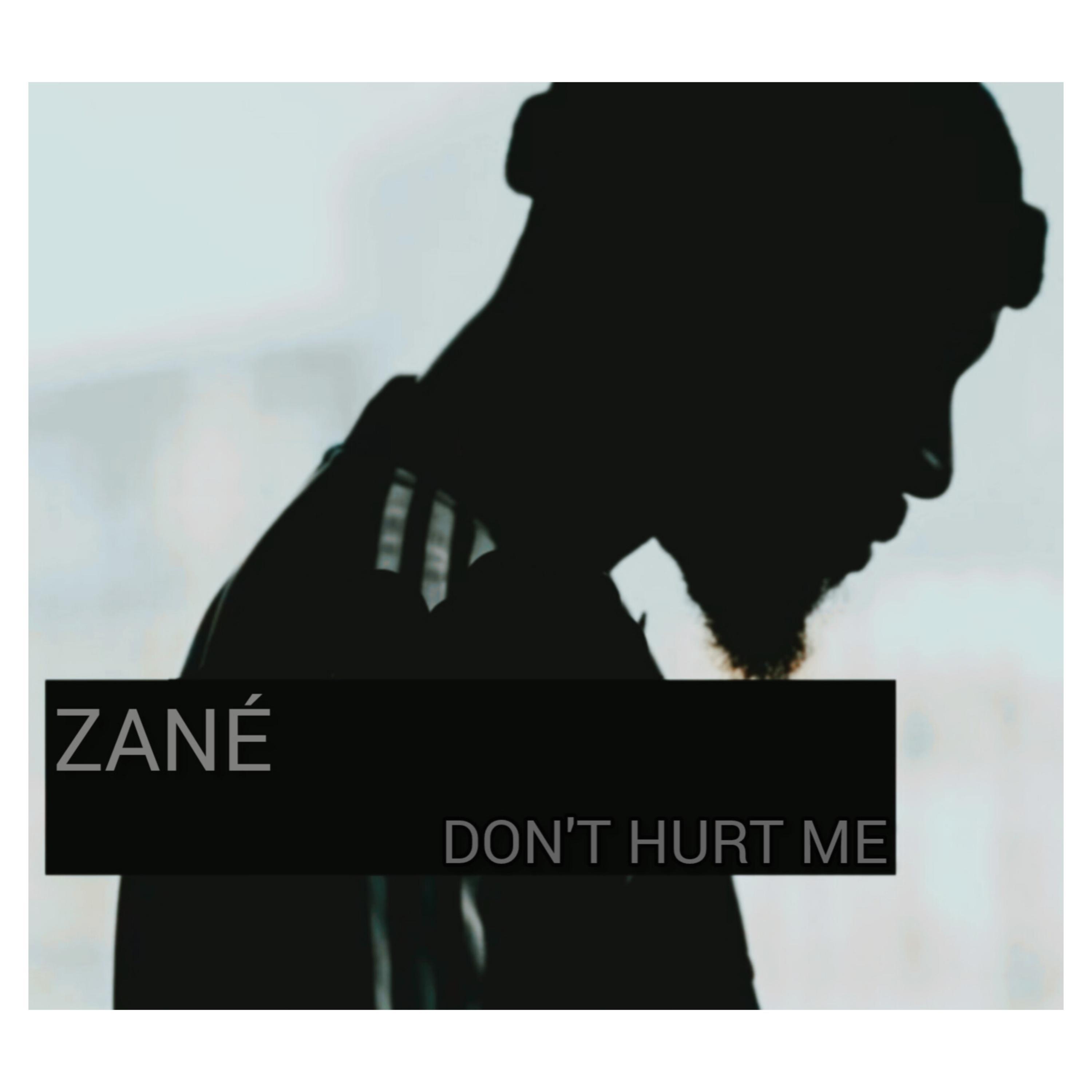 Zane - DON'T HURT ME (Acoustic Version)